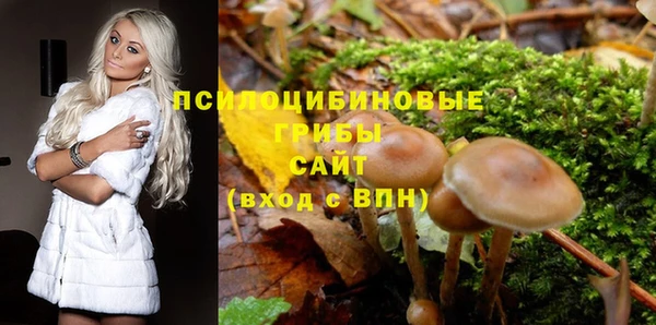 мескалин Алексин